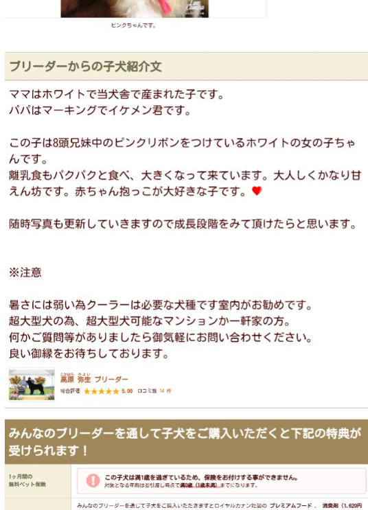 霊媒師ってどう思いますか？