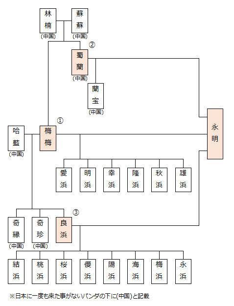 いとこ同士で結婚、妊娠したカップル 法律違反も「愛し合っているのだから認めて」(米)