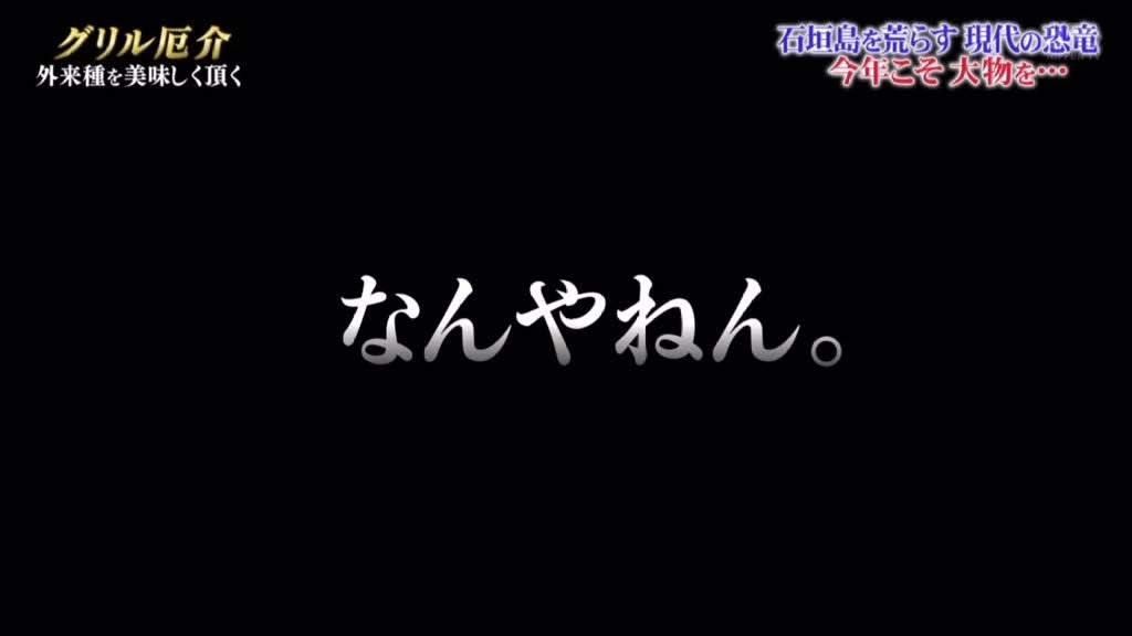 あいのり・桃、彼氏との初めての海外旅行先が決定「2人とも行ったことない初めての地！」