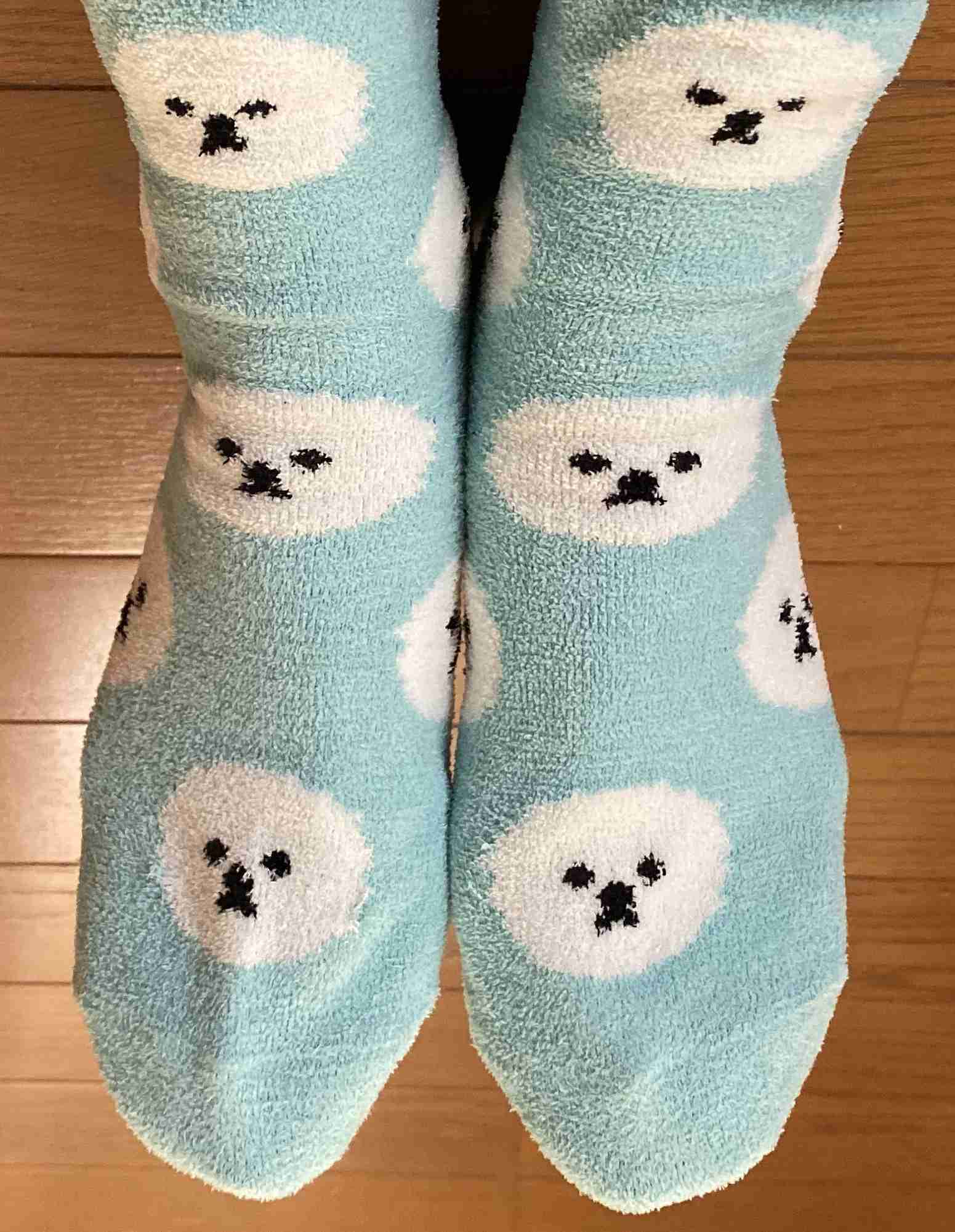 【もふもふ】ビションフリーゼが好きな方【まんまる】