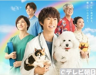 【もふもふ】ビションフリーゼが好きな方【まんまる】