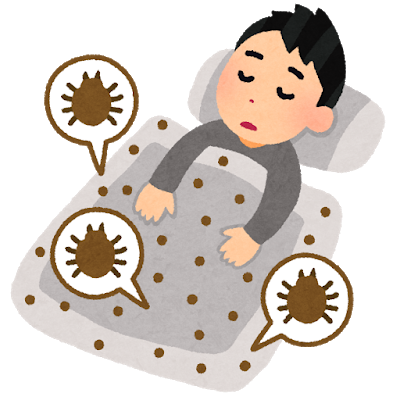 年末年始の国内旅行はどうでしたか？