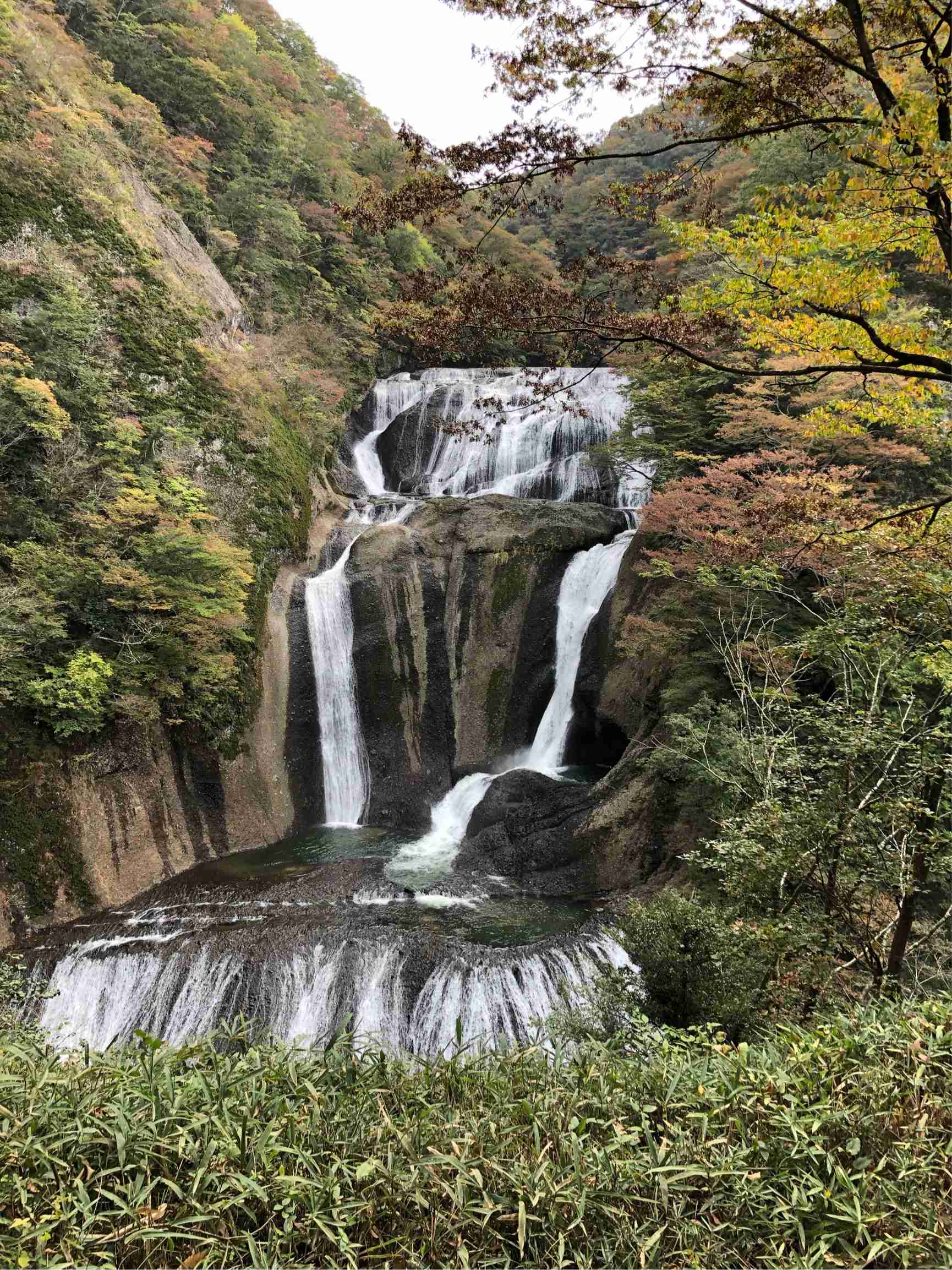 年末年始の国内旅行はどうでしたか？