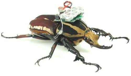 知らない方がいい事実をこっそり教え合うトピ