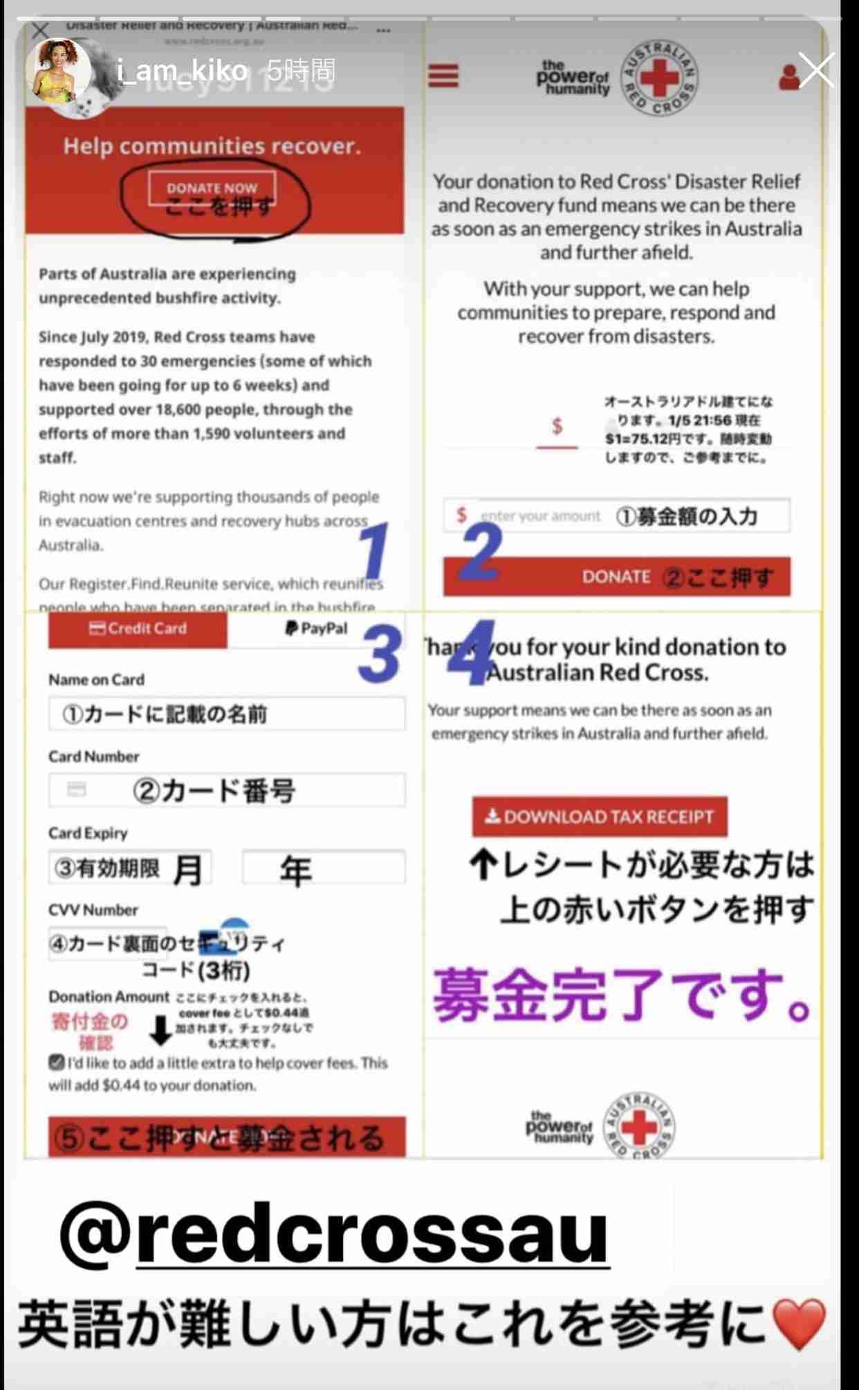 オーストラリアの森林火災の悲惨さ。最大8000頭のコアラが犠牲に