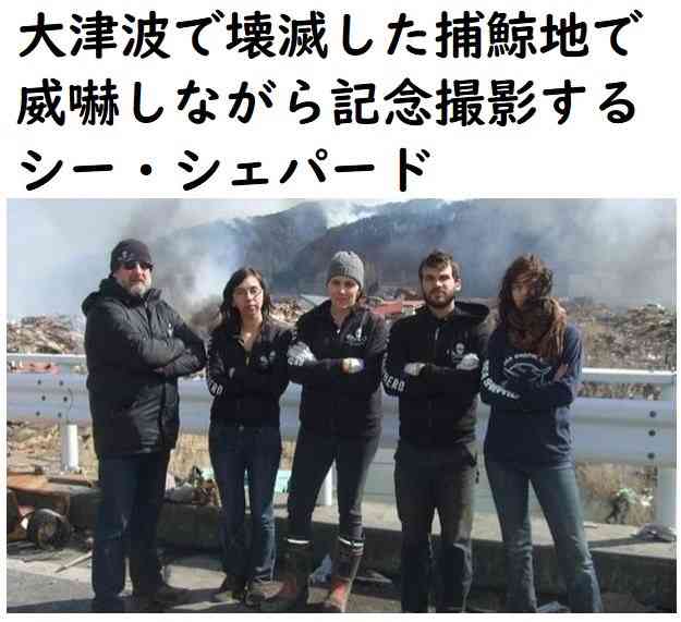 オーストラリアの森林火災の悲惨さ。最大8000頭のコアラが犠牲に