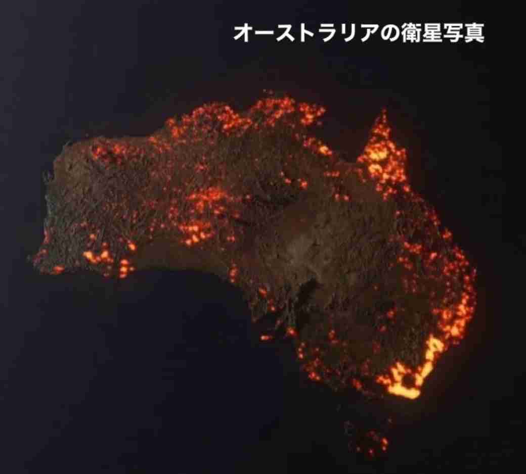 オーストラリアの森林火災の悲惨さ。最大8000頭のコアラが犠牲に