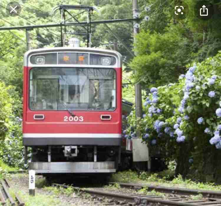 集え!!神奈川県民!!