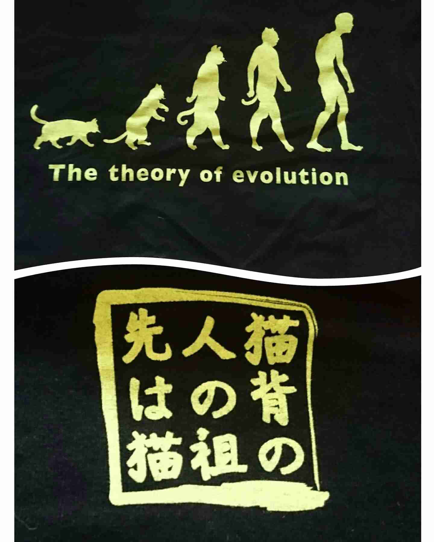 人間は猿の進化系なのか