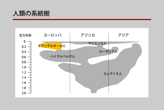 人間は猿の進化系なのか