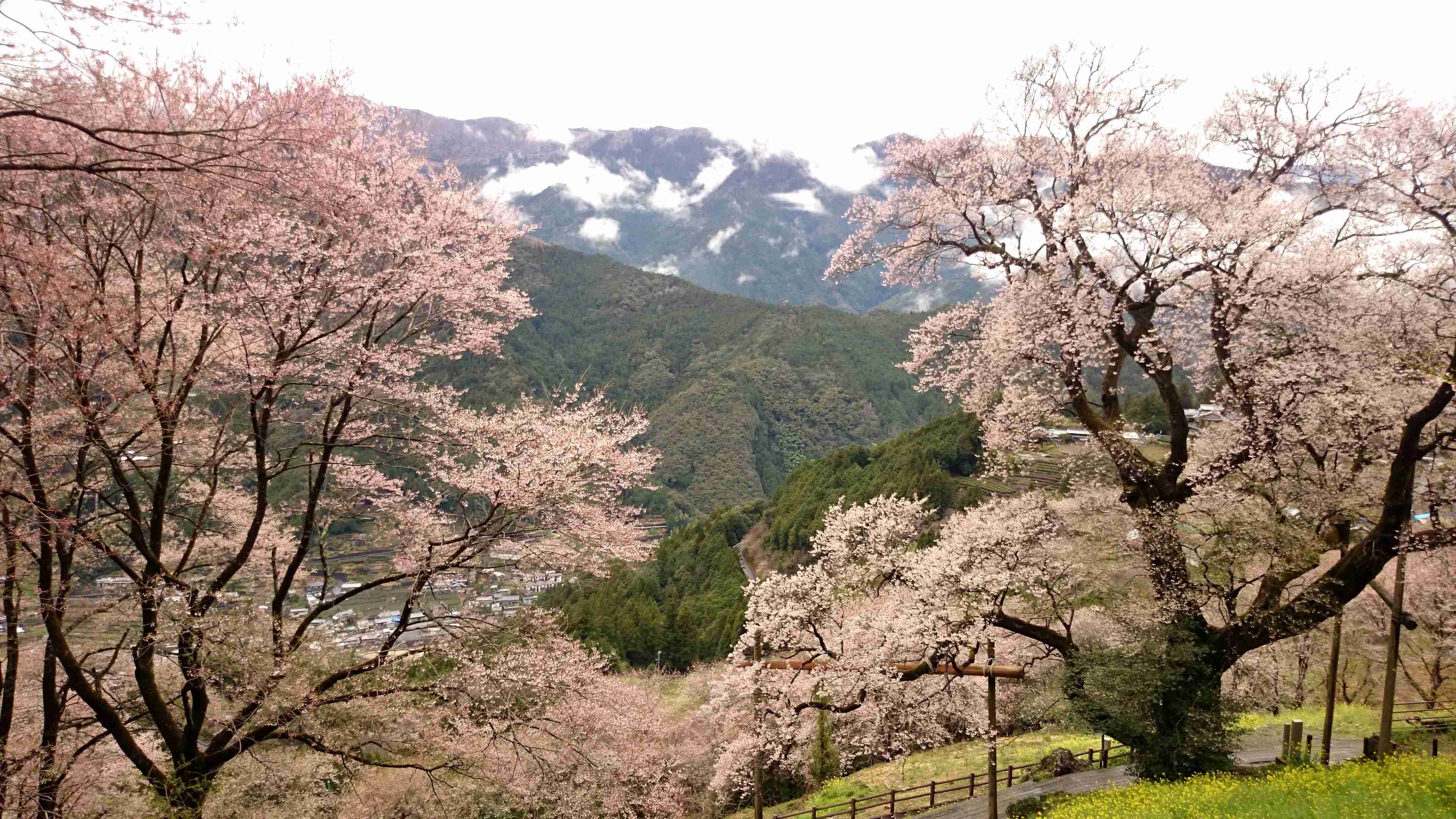 国内旅行の写真を貼ろう！