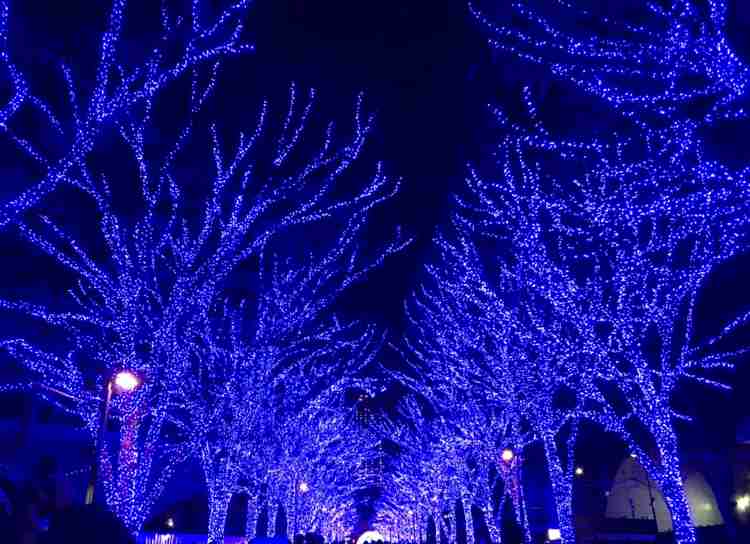 国内旅行の写真を貼ろう！