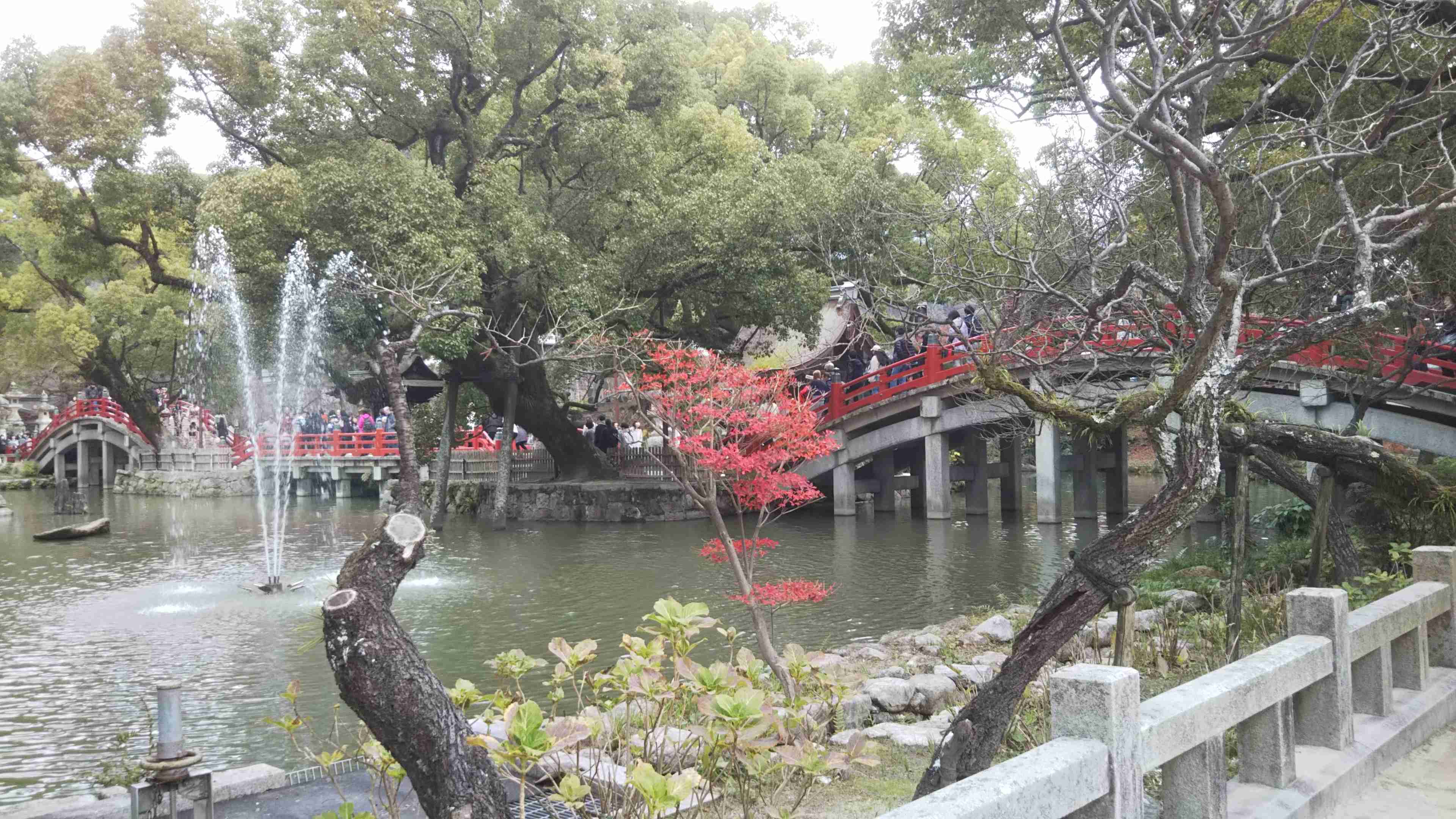 国内旅行の写真を貼ろう！