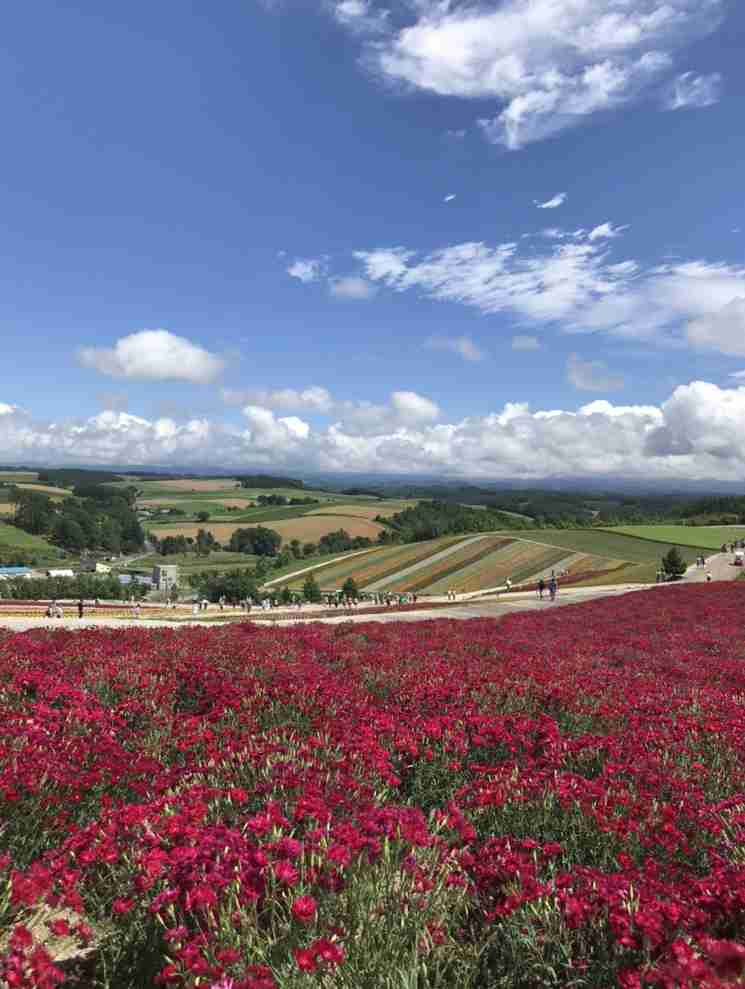 国内旅行の写真を貼ろう！