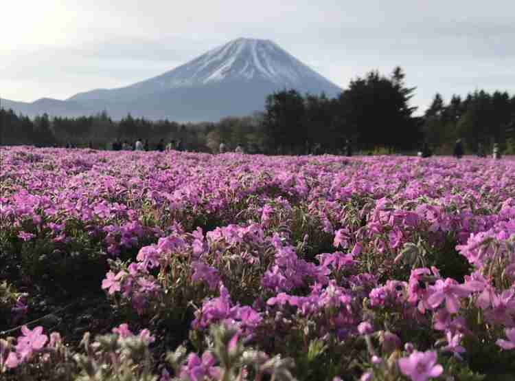国内旅行の写真を貼ろう！