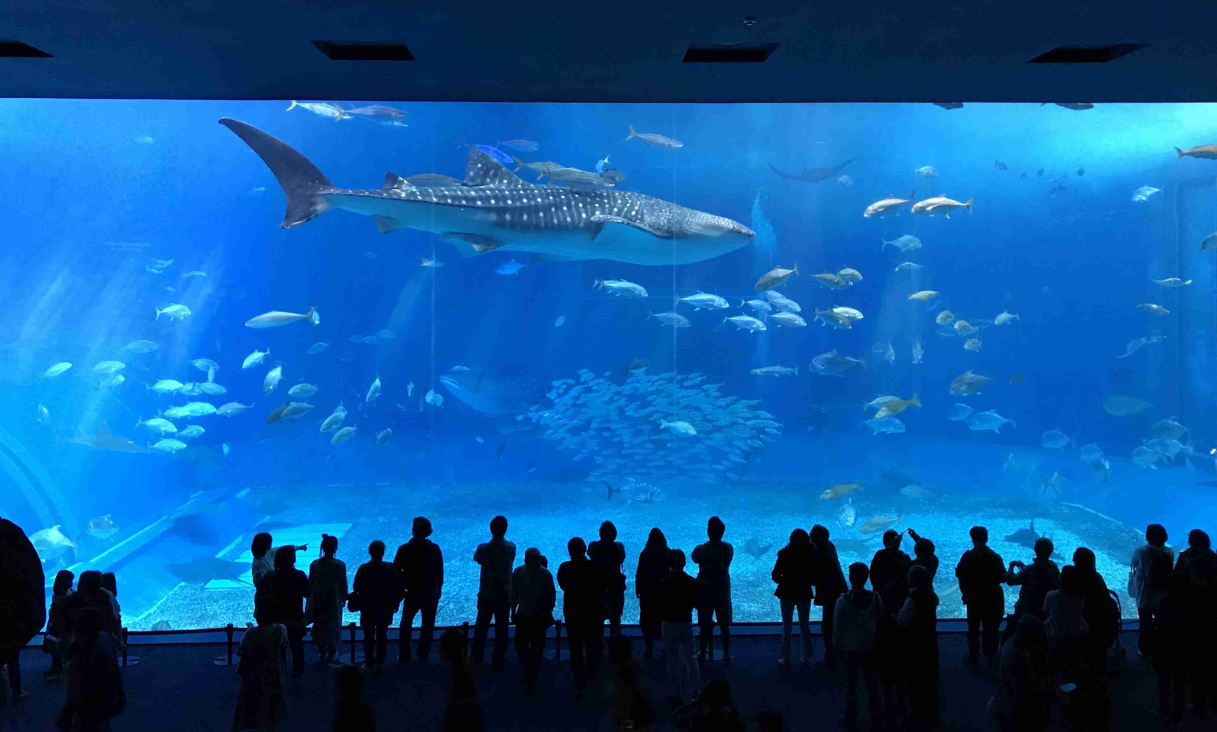 国内旅行の写真を貼ろう！