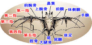 毎日しんどいから雑談したい