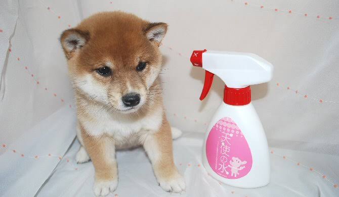 毎日しんどいから雑談したい