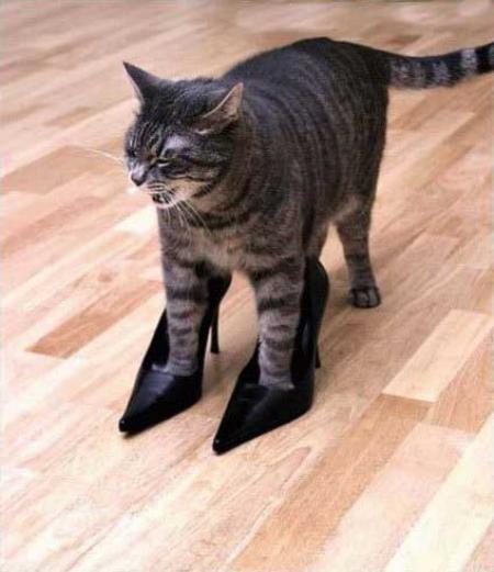 【画像】素敵なハイヒールが見たい!