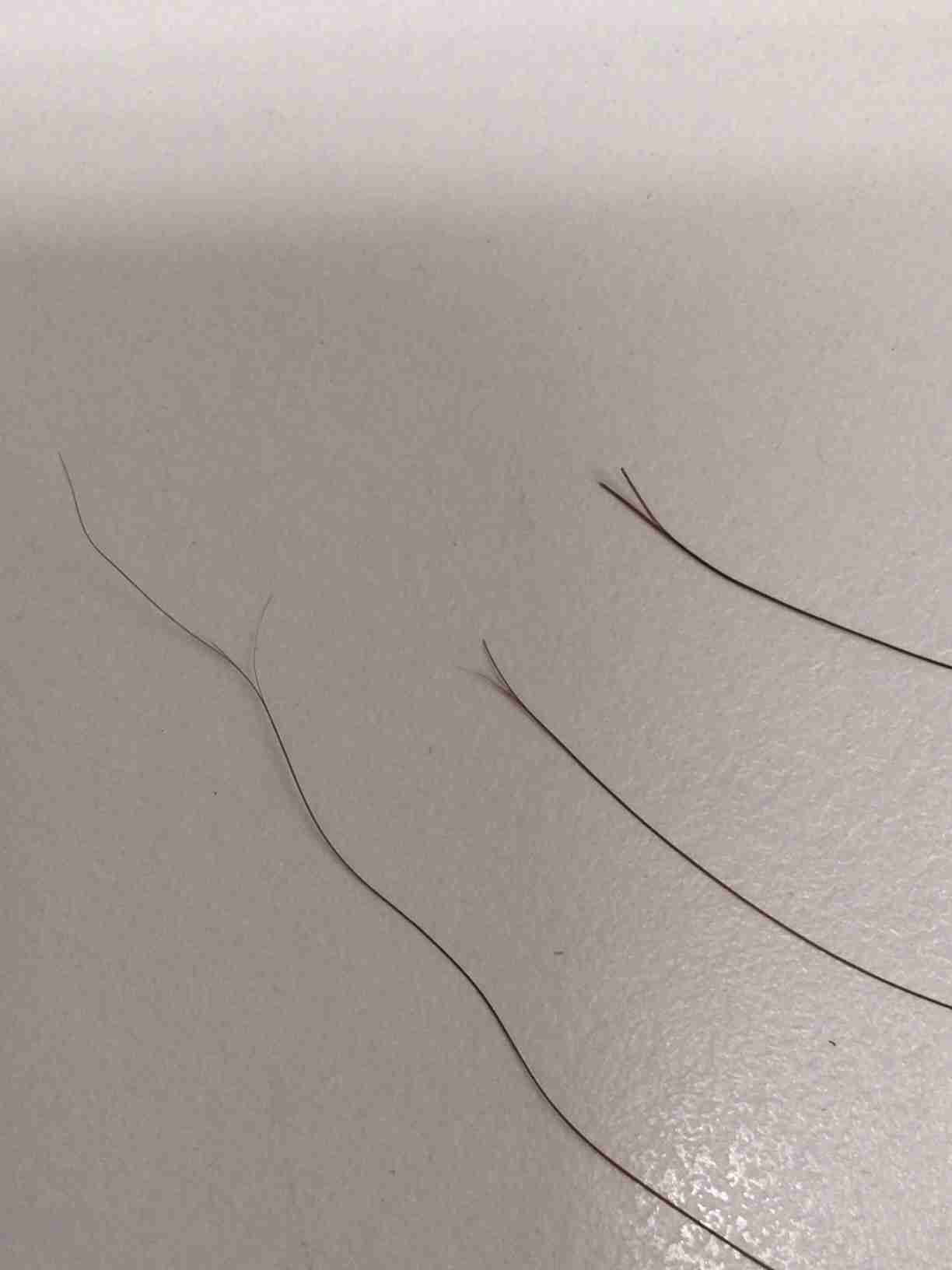 枝毛自慢選手権 ガールズちゃんねる Girls Channel