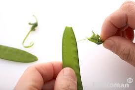 自分がていねいな暮らしをしているな、と錯覚する時