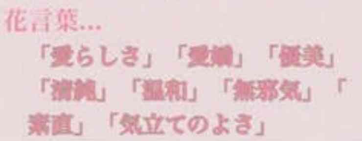 木下優樹菜・乾貴士不倫疑惑、サンジャポで芸能リポーターが衝撃の目撃証言！「飛行機内で…」