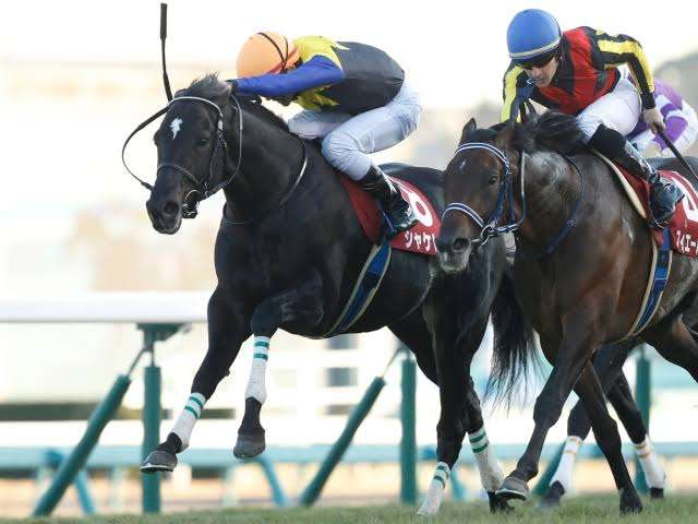 【競馬】UMAJO集まれ！ Part 3