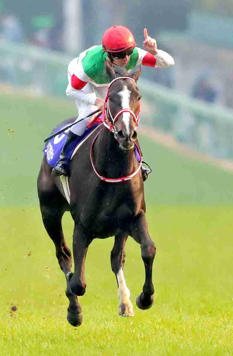 【競馬】UMAJO集まれ！ Part 3