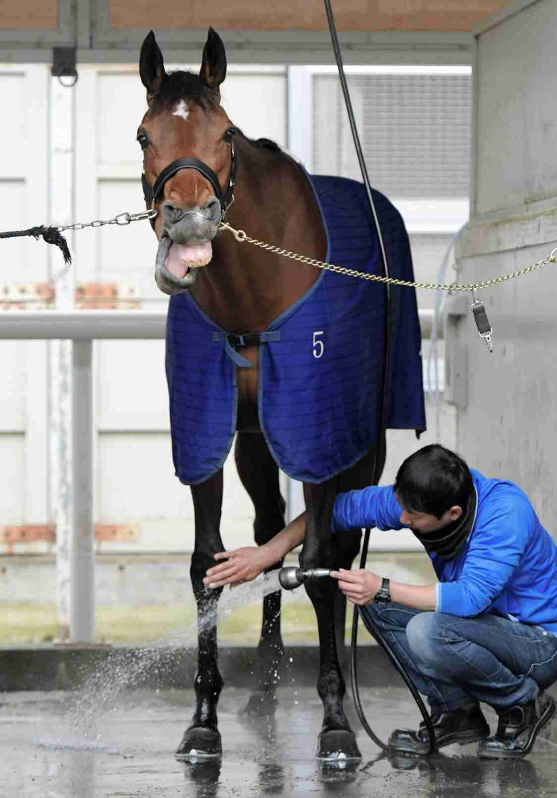 【競馬】UMAJO集まれ！ Part 3