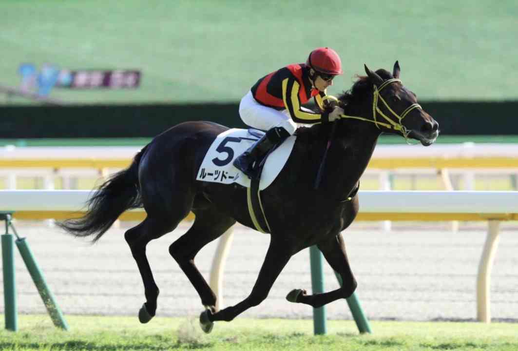 【競馬】UMAJO集まれ！ Part 3