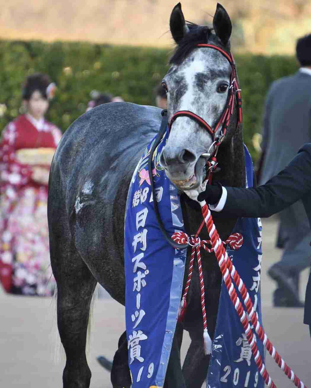 【競馬】UMAJO集まれ！ Part 3