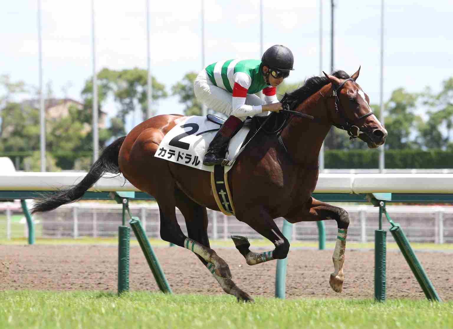 【競馬】UMAJO集まれ！ Part 3