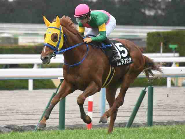 【競馬】UMAJO集まれ！ Part 3