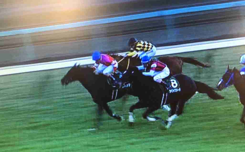【競馬】UMAJO集まれ！ Part 3