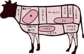 焼肉で好きな部位