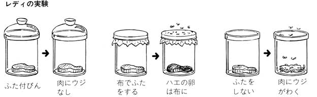 理科の実験好きだった人