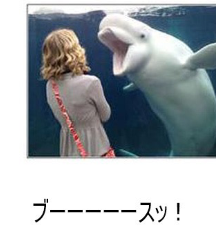 ガルちゃんでコメント代わりに使えそうな字幕テロップ画像