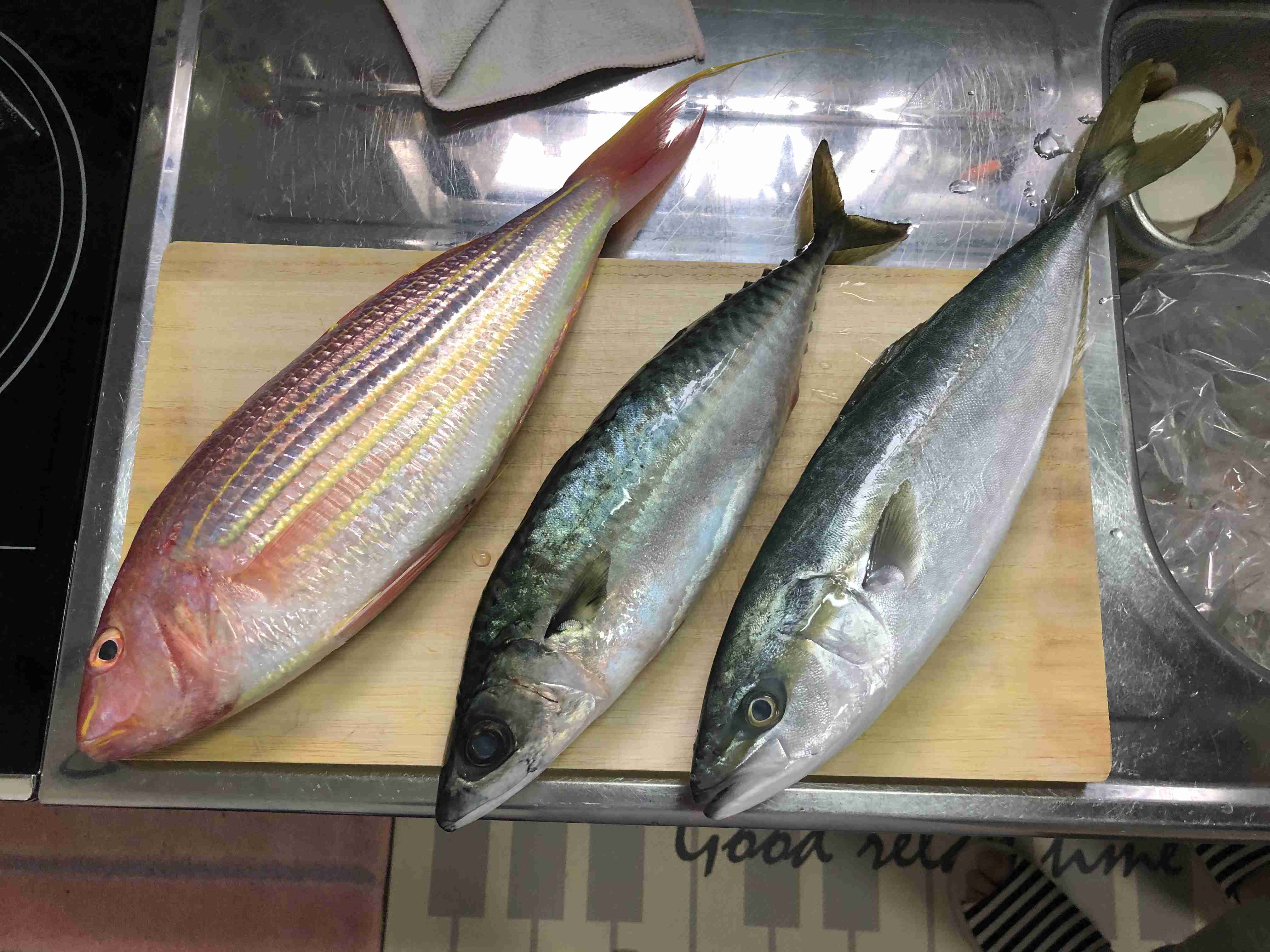 【画像】自分で撮影した人間以外の生き物を貼るトピ