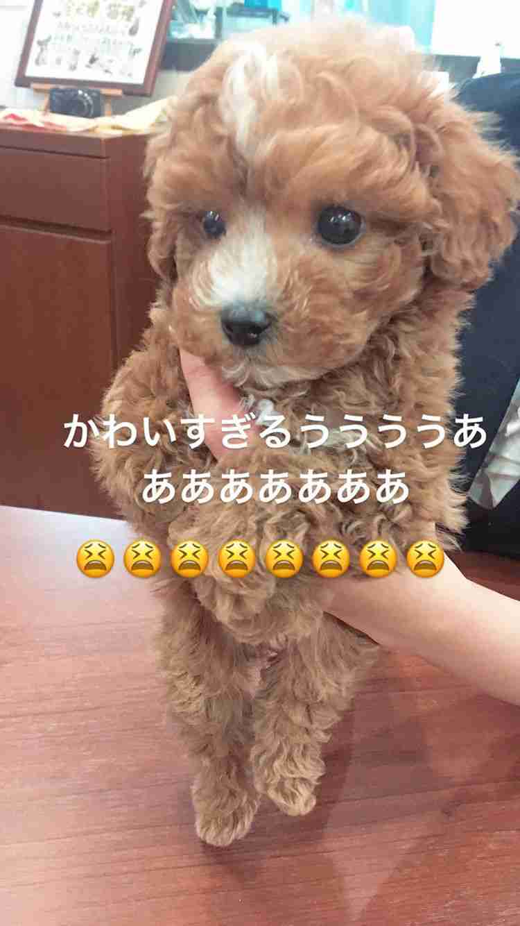 【画像】自分で撮影した人間以外の生き物を貼るトピ