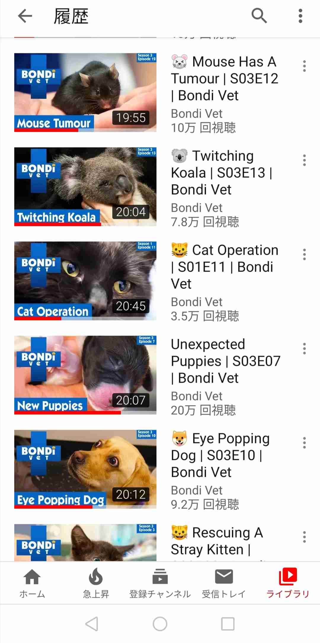 Youtubeの視聴履歴を見せ合おう！