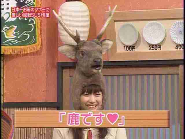 いろんな綾瀬はるかが見たい