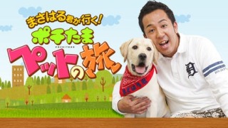 トピに上がる事はないテレビ番組を語ろう