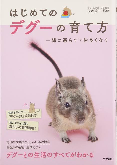 東出昌大・杏、大晦日のベトナムで目撃されていた