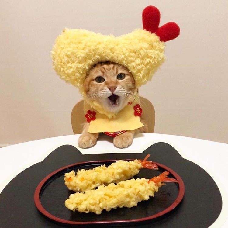 【飯テロ】こんがりきつね色！食欲そそる揚げ物🍤【画像】