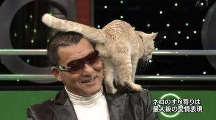 猫のωの画像を貼るトピ
