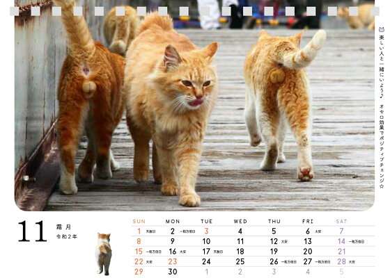 猫のωの画像を貼るトピ