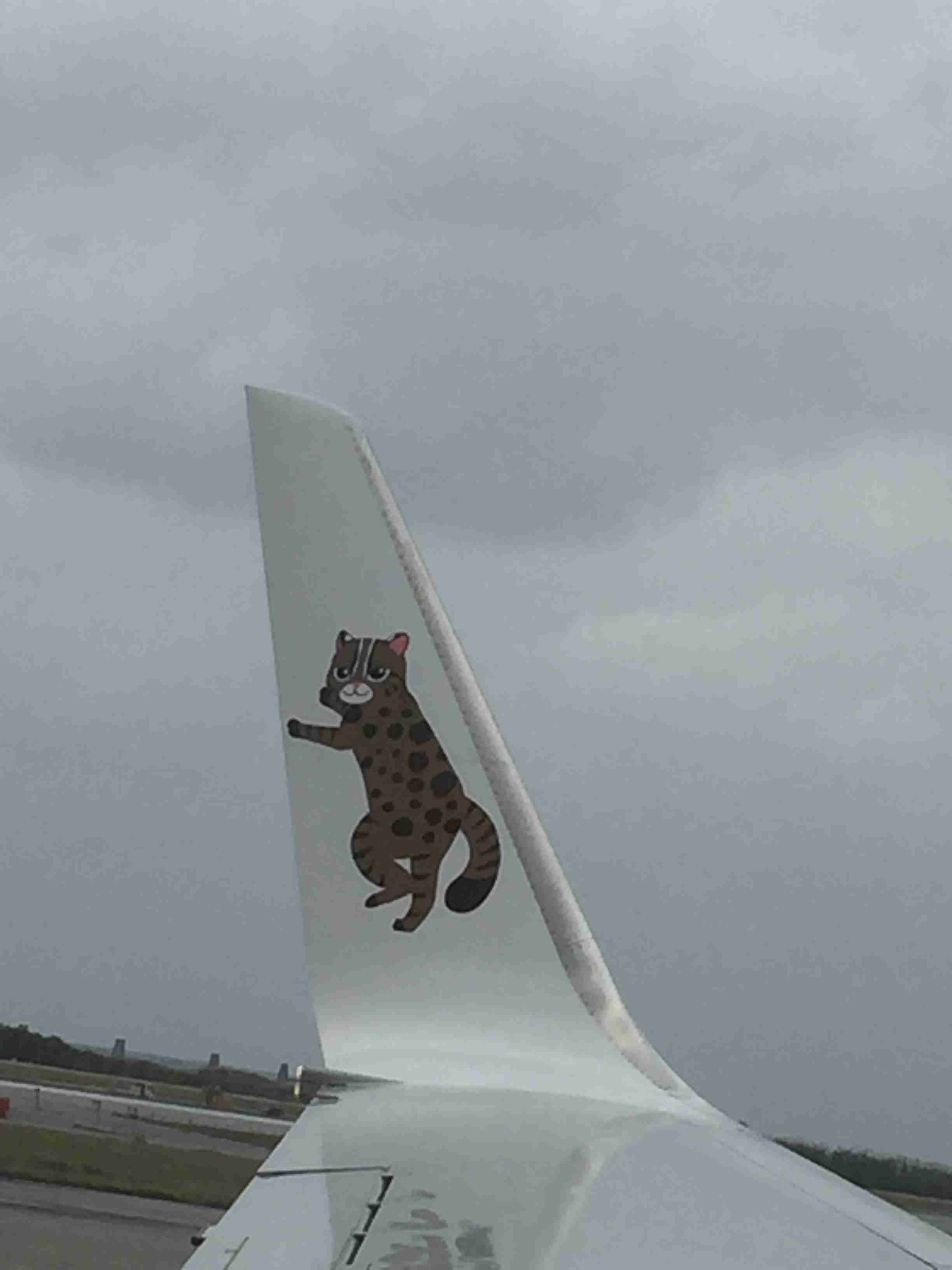 猫のωの画像を貼るトピ