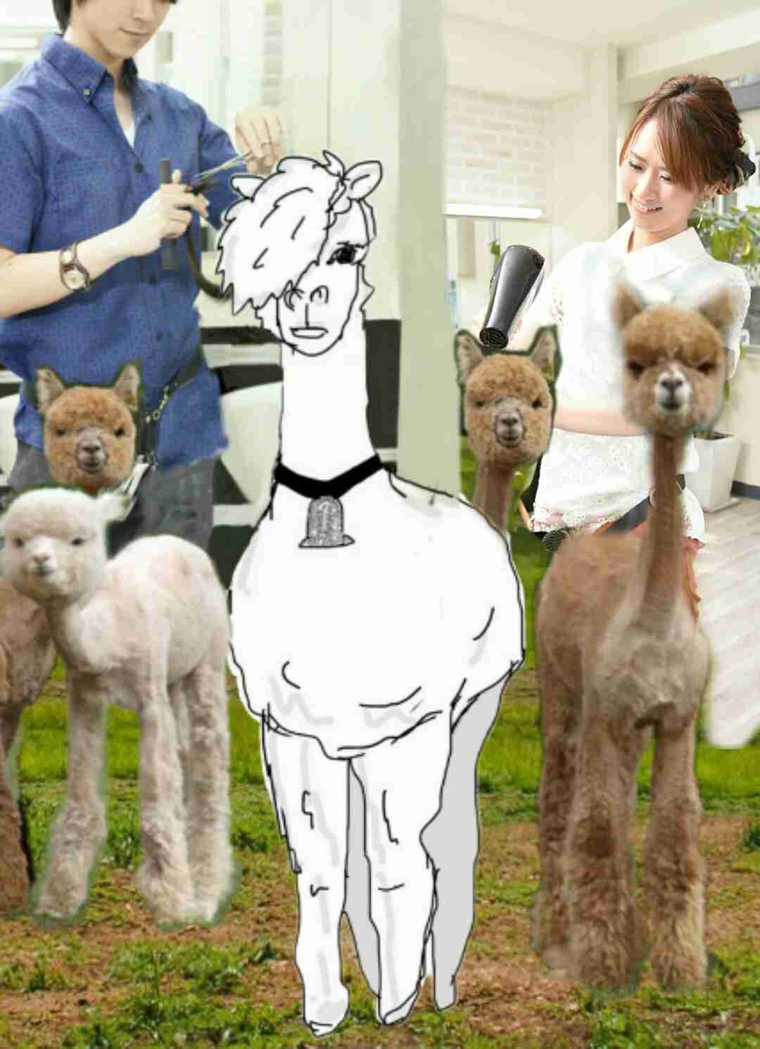 【コラージュ】何かを描いて行きたい場所をお願いしましょう