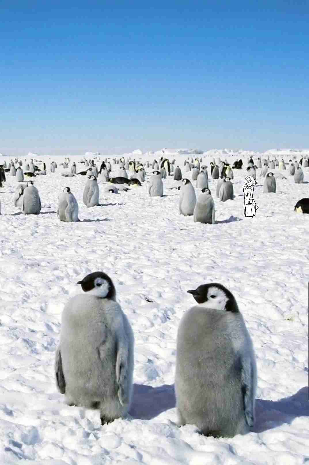 【コラージュ】何かを描いて行きたい場所をお願いしましょう