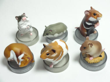 ハムスターが可愛すぎる